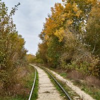 Железная дорога через осенний лес :: Алексей Р.