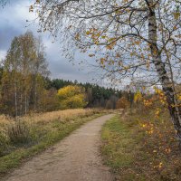 Московская осень... :: Владимир Жданов