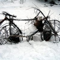 Велосипед из веточек :: Татьяна Трофимова 