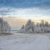 Благородная седина декабря :: Елена Чудиновских