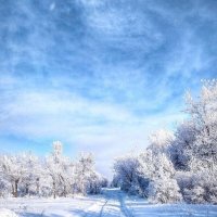 Вот и зима,на земле нашей... :: Георгиевич 