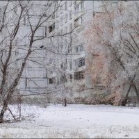 Ворона :: Александр Тарноградский