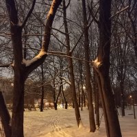 снег выпал :: Anna-Sabina Anna-Sabina