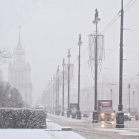 снежный день на Московском проспекте :: Елена 