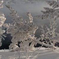 В снежной рамочке. :: Марина Фомина.