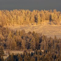 зимние красоты :: леонид логинов