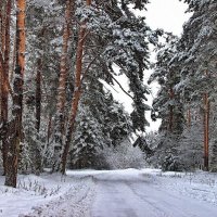 Уже накатана дорога... :: Лесо-Вед (Баранов)