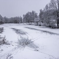 На берегу озера :: оксана 