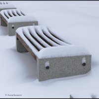 После снегопада :: Александр Тарноградский