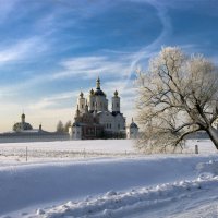 Свенский монастырь/декабрь :: Евгений 