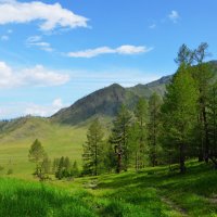 Прекрасный день в горах :: Галина 