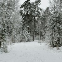 Какая зима без снега! :: Милешкин Владимир Алексеевич 