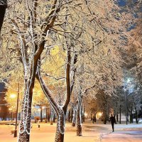 Разукрасилась зима на уборе бахрома... :: Tatiana Markova