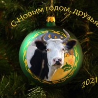С Новым годом! :: Галина Кан