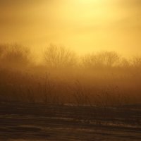 Туманный зимний рассвет :: Светлана Рябова-Шатунова