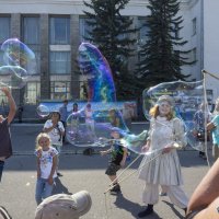 Новогодние предостережения :: Владимир Шибинский