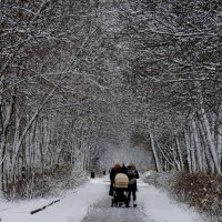 ...зима :: виктор ЗАСОРИН