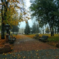 Осенний парк :: Роман Савоцкий