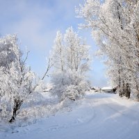 По морозу в деревню) :: Владимир Звягин