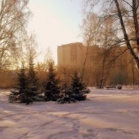 Январь в городе. :: Мила Бовкун