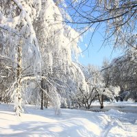 В снежных объятиях :: олег свирский 