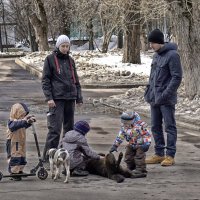 Дети и собаки :: Алексей Виноградов