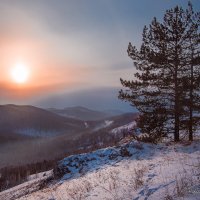 Под низким солнцем января. :: Николай Привалов
