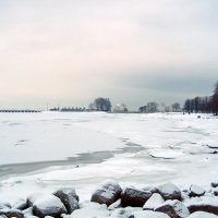 Финский залив, 4 января. :: Лия ☼
