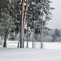 Зима в Аксаково... :: Наташа *****