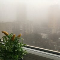 А за окном туман! :: Надежда 