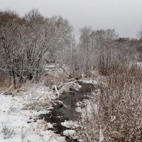 Не замерзающий лесной ручей (из поездок по области). :: Милешкин Владимир Алексеевич 