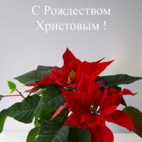 Праздник ! :: Юрий Куликов