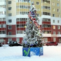 Дворовая новогодняя ёлка :: Наталья Пендюк Пендюк