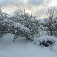 ЗИМА В ДЕРЕВНЕ :: Виктор Елисеев