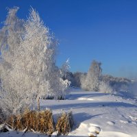 Морозный денёк 2017-01-08. :: Алекс Ант