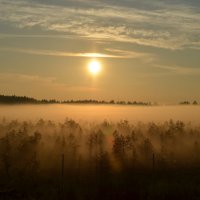 Туман. :: Валерий Пославский