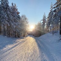 Лыжня в центральной Швеции Dalarna :: wea *