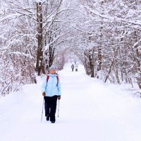 Прогулка в зимнем лесу... :: ГЕНРИХ 