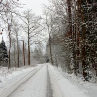 Зимняя дорога :: ТаБу 