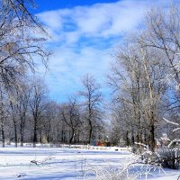 Чудесным зимним днём гуляя в парке.... :: Восковых Анна Васильевна 