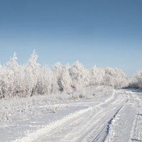 С ветерком по зимнику! :: Андрей Заломленков