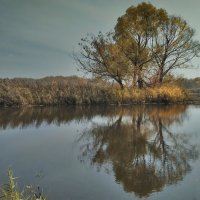 На речке Толкайка :: Наталья Ильина