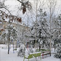 Зима :: Нина Синица