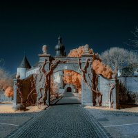 Ворота к замку :: Николай Гирш