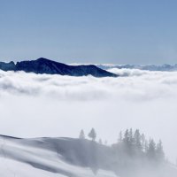 Туман :: Ольга Зивульская