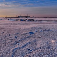 Финский залив скован льдом... :: Виталий Буркалов
