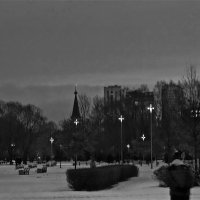 "кресты" в Пулковском парке :: Елена 