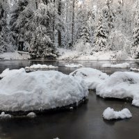 «Линдуловская роща» :: skijumper Иванов