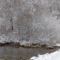 Зимняя река :: Рыкина Ирина 