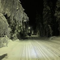 Январский вечер в Dalarna Швеция :: wea *